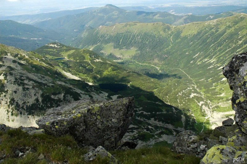 Roháče