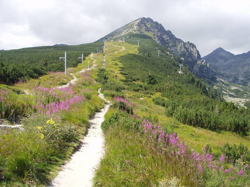 Vysoké Tatry, Pieniny