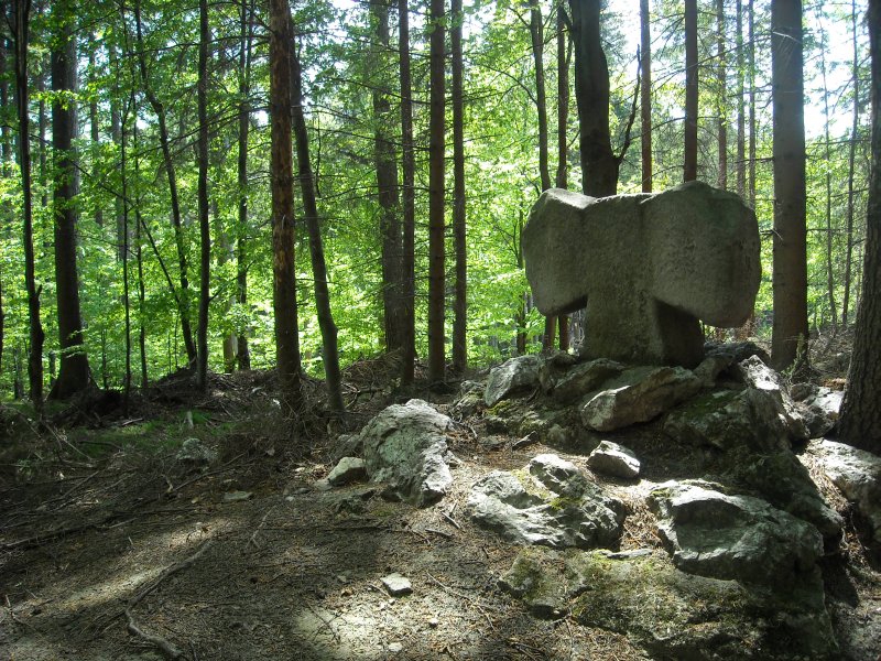 Rychlebské hory