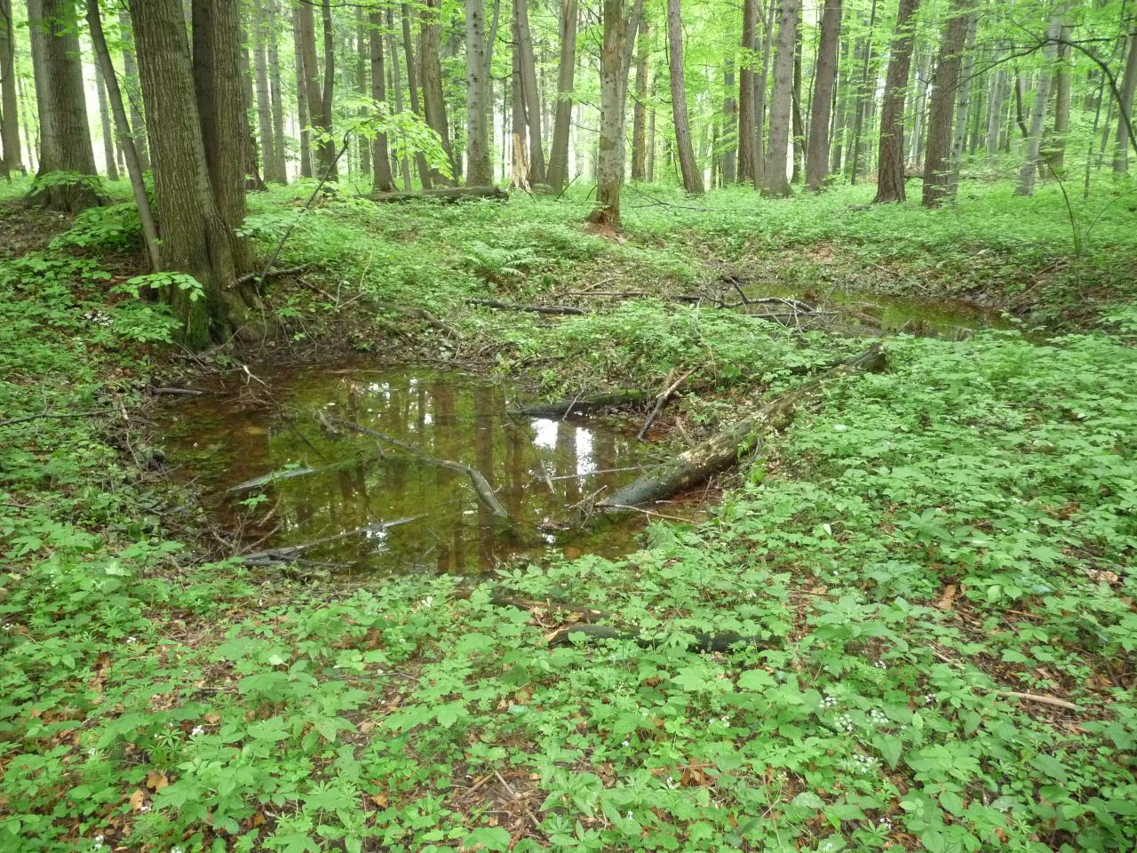 Naučnou stezkou kolem Kopřivnice - 5.ročník