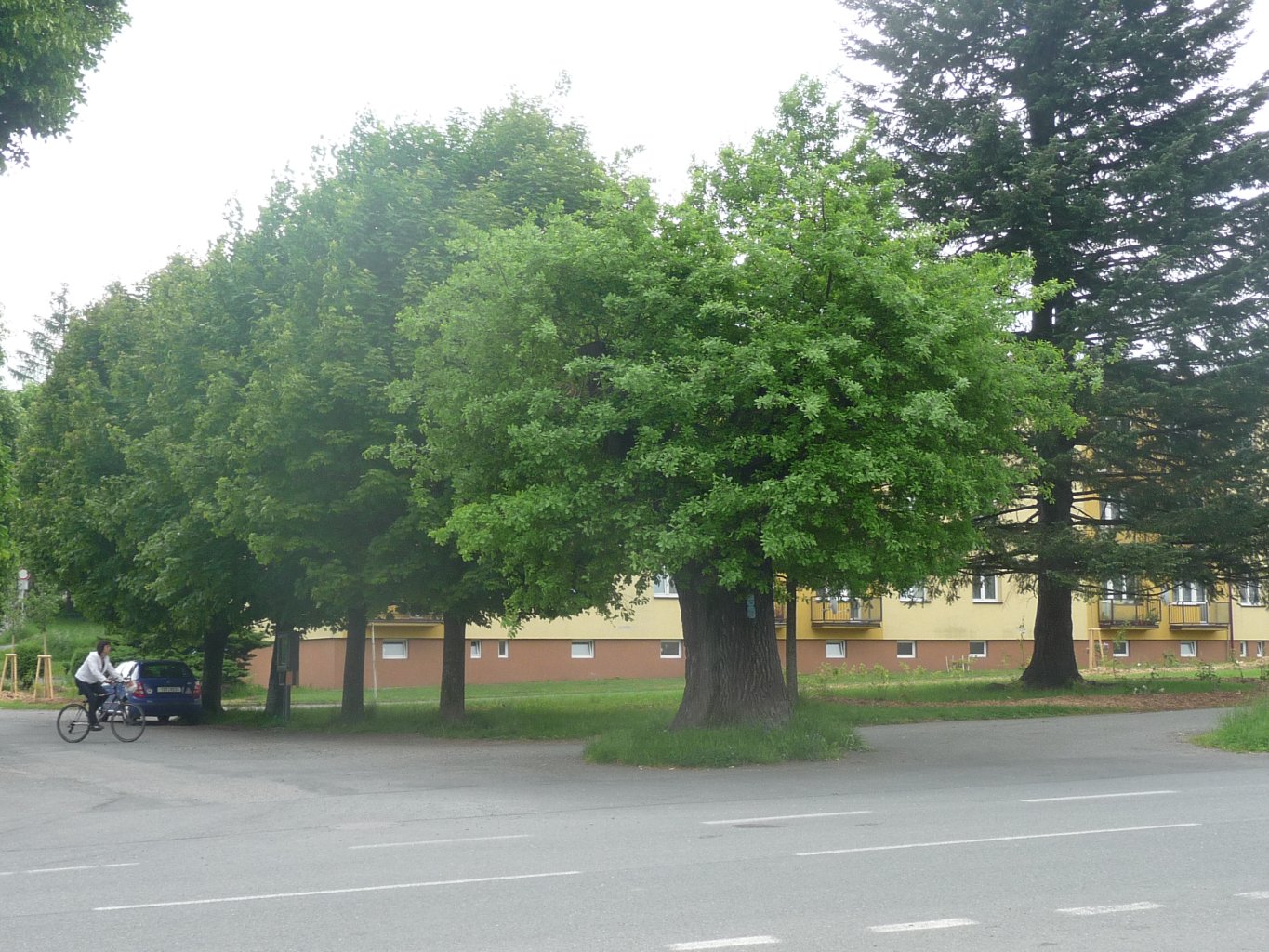 K peřejím na Ostravici