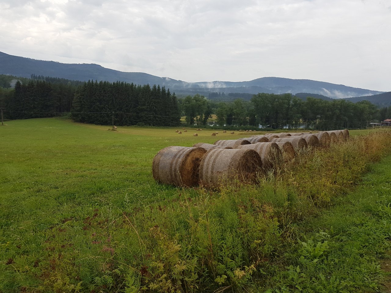 Šumava IV.